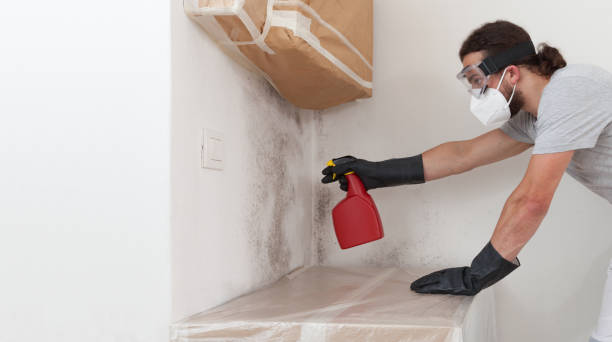 Professional Mold Testing technician working in Newton, MA