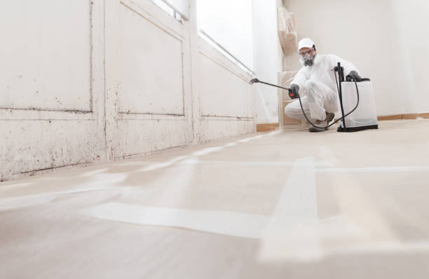 24/7 Emergency Mold Testing experts in Newton, MA
