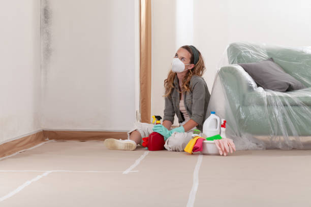 Reliable Mold Testing contractor in Newton, MA by WQB Mold Removal